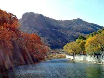 新澳天天开奖资料大全旅游团，最流行的小说